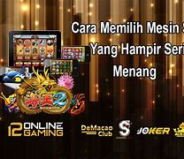 Video Main Slot Menang Terus Gimana